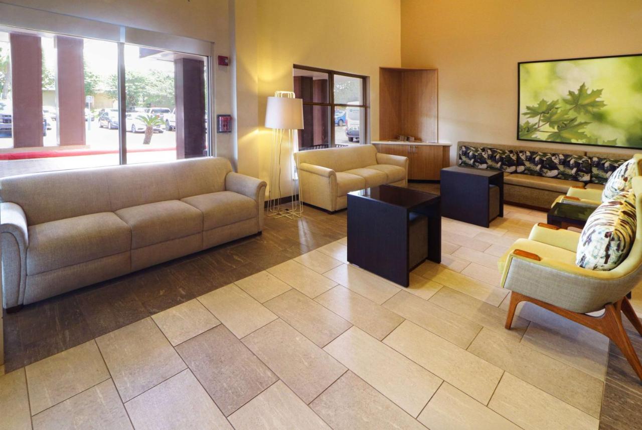 Wyndham Garden Mcallen At La Plaza Mall Exterior foto